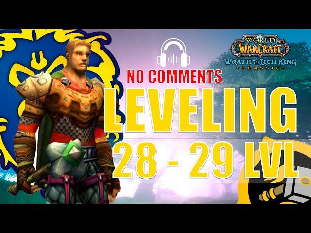 WOTLK Leveling Alliance Guide (Paladin) [28-29] One hour preparation WoW [4K,ASMR]