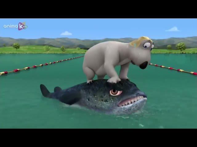 ‍️ BERNARD SWIMS WITH A HUGE FISH | Full Episodes | VIDEOS and CARTOONS FOR KIDS