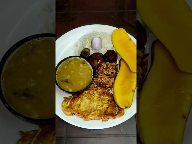 Today's lunch plates #shortsvideo