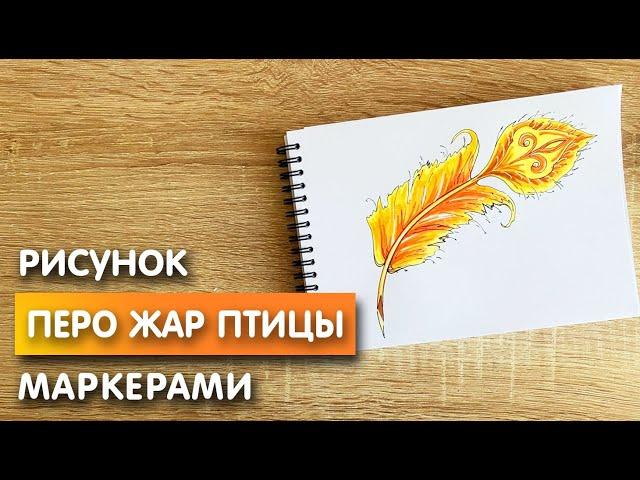 Как нарисовать перо жар птицы карандашом и скетч маркерами | Рисунок для детей, поэтапно и легко