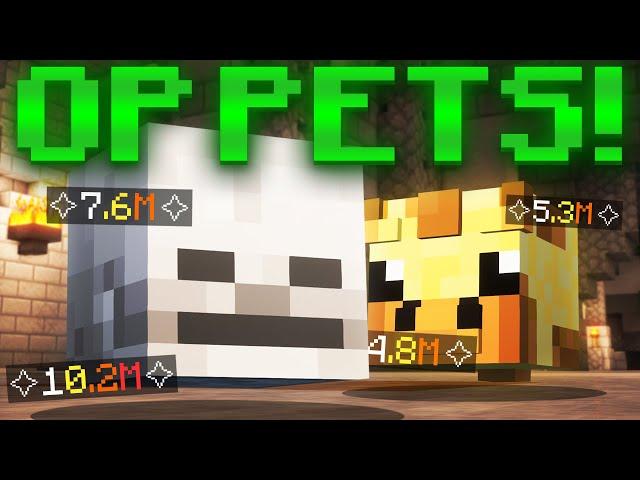 The ULTIMATE DUNGEON PET COMPARISON GUIDE! | Hypixel Skyblock