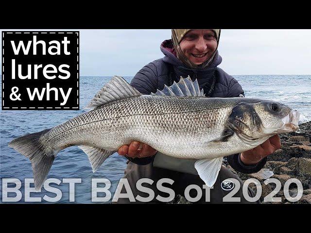 Best Bass 2020. What Lures & Why. Seabass Fishing Ireland