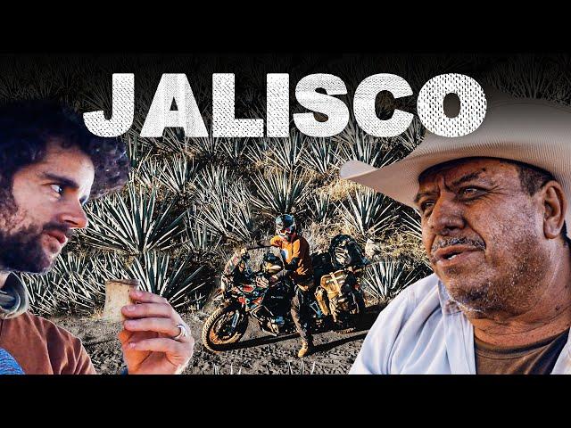 LLEGO a JALISCO en BUSCA de UN TEQUILA CLANDESTINO que NO ME DEJE CIEGO  Episodio 251