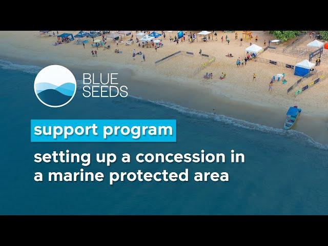 Setting up a concession in a marine protected area