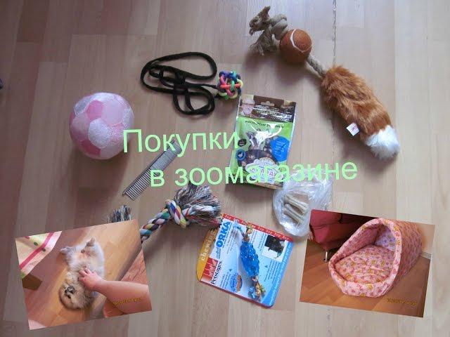 Покупки в зоомагазине