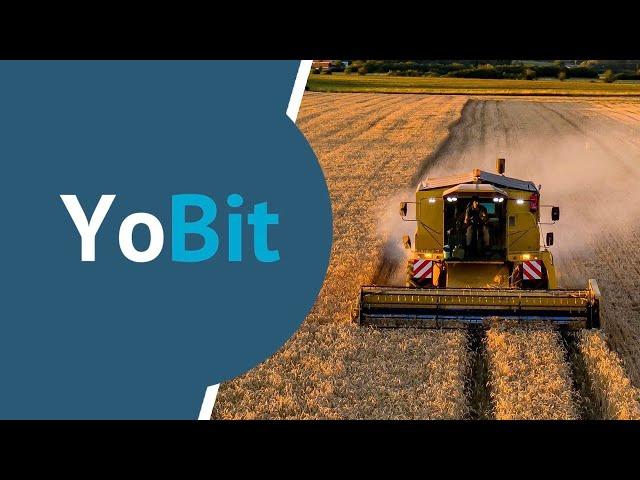 YOFARM Review: Farming with up to 1220% APY on YoBit.net