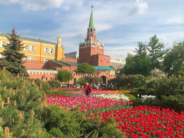 ПЕРВЫЙ СОЛНЕЧНЫЙ ДЕНЬ В МОСКВЕ, КРАСОТА,ТЮЛЬПАНЫ, КРАСИВАЯ МУЗЫКА