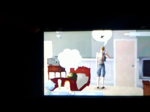 Im playing sims 2 pets on psp