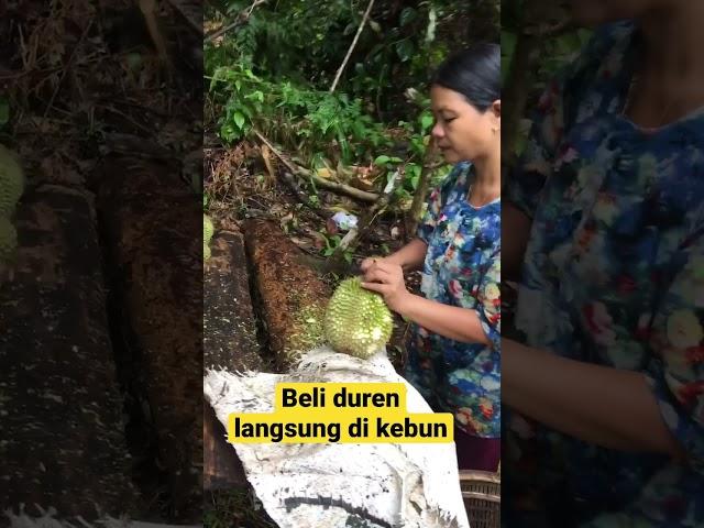 Duren enak dan mantap