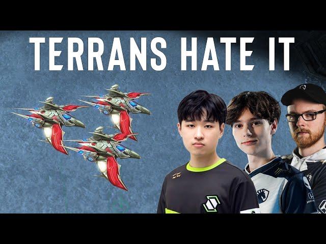 NEW Patch 2024 Protoss vs Terran Guide