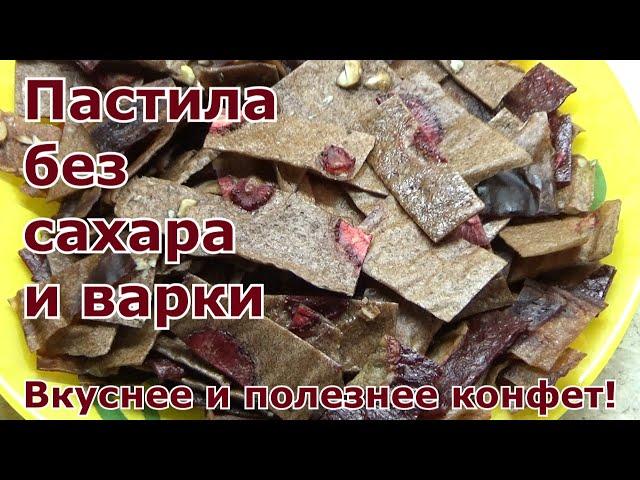 Рецепт домашней живой пастилы без сахара и варки в сушилке-дегидраторе Oberhof Fruchttrockner A-15