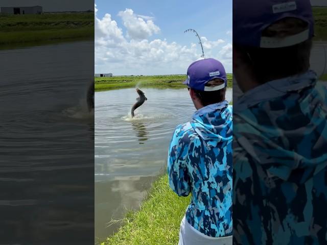 200lb Florida Pond Monster