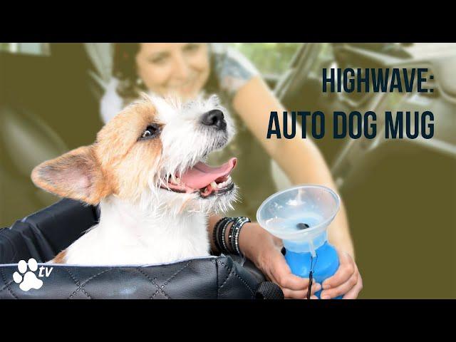 Highwave: Auto Dog Mug | TRANSGROOM