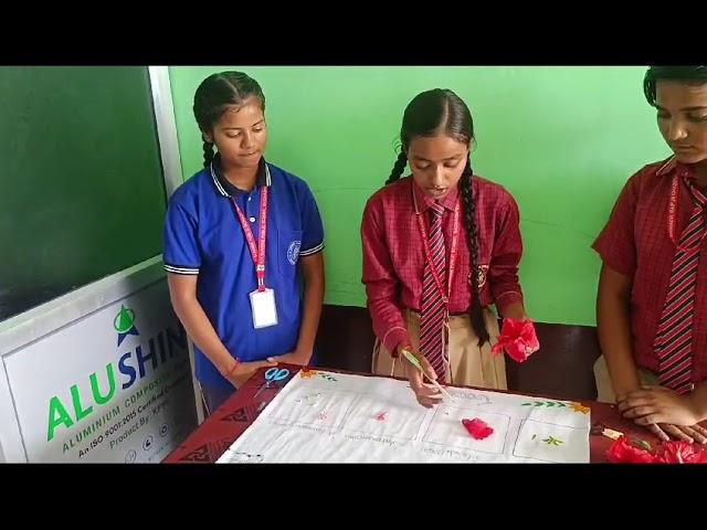 SCIENCE DEMO | HIBISCUS |CLASS 8 |R.H.SUNRISE PUBLIC SCHOOL