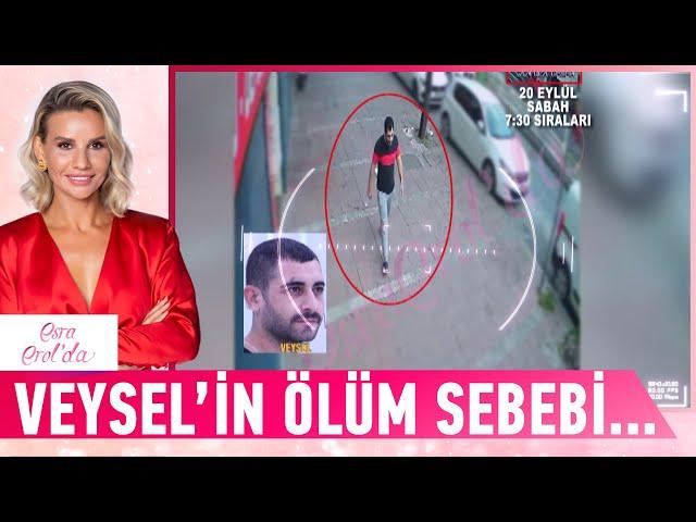 Veysel'in ölümünün arkasındaki sır perdesi! - Esra Erol'da Kolaj