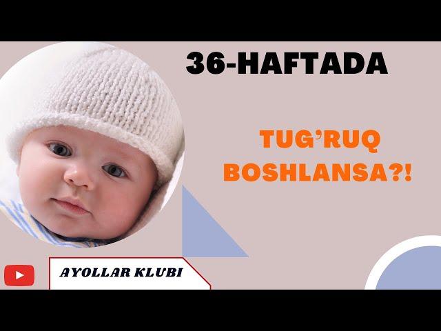 HOMILADORLIKNING 36- HAFTASI TUG’RUQ BOSHLANSA?!!!