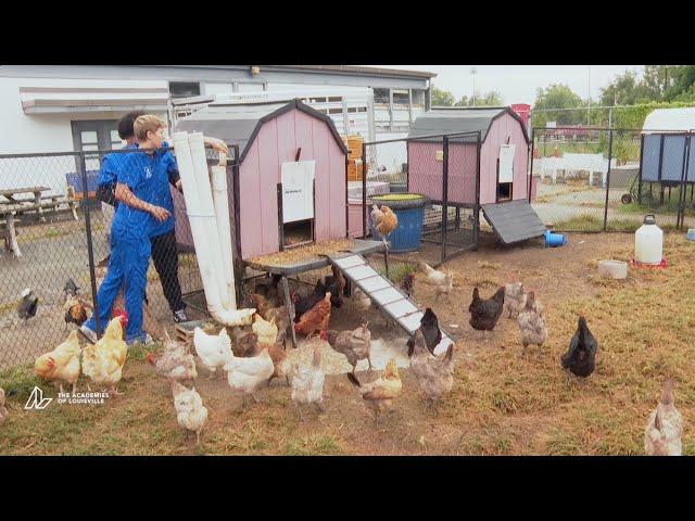 Seneca High School Urban Agriculture Academy