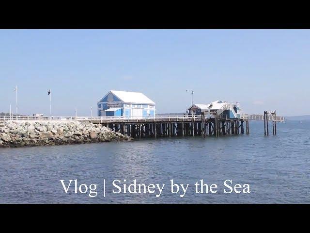 Vlog | Sidney by the Sea