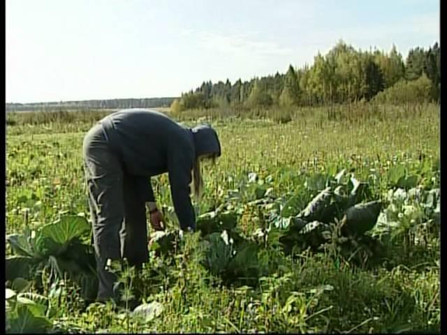 Выбери Жизнь