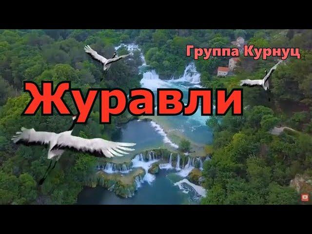 Formatia Curnut (Группа Курнуц) - Журавли (cover)