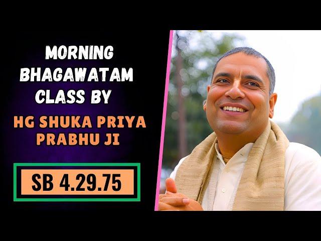 Special Srimad Bhagvatam Class | HG SHUKA PRIYA PRABHU JI  | SB 4.29.75