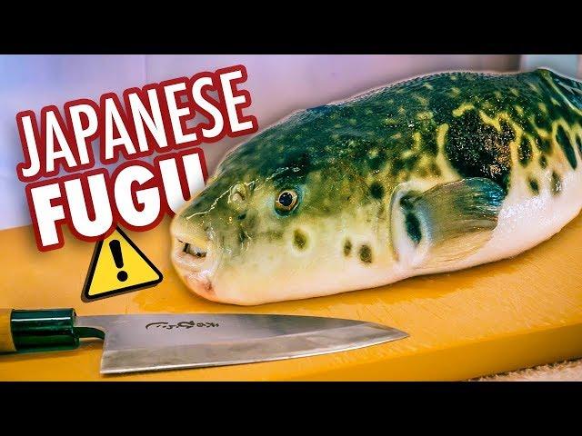 I Tried Japan's Most Dangerous Food | Poisonous Blowfish (Fugu)