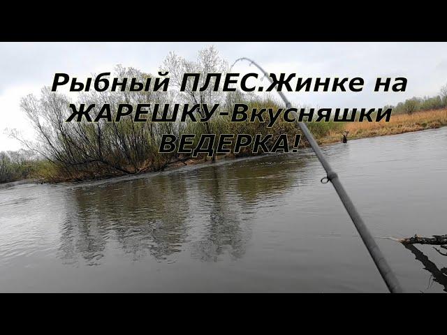 Рыбалка на РЕКЕ.Вода упала/+Клевое МЕСТО-Рыбный ПЛЕС/Жене Вкусняшку ,себе остатки)/МОХНАТЫЕ Торпеды!