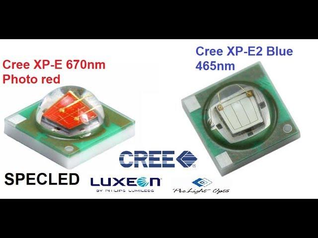 Led for plants Cree XP-E 670nm, XP-E2 465nm. Led grow light.  Luxeon Rebel, ProLight Opto