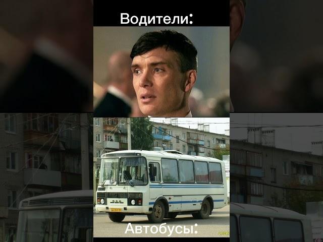 Водители и автобусы. Часть 1. #НефАЗ #лиаз #volgabus #Маз104