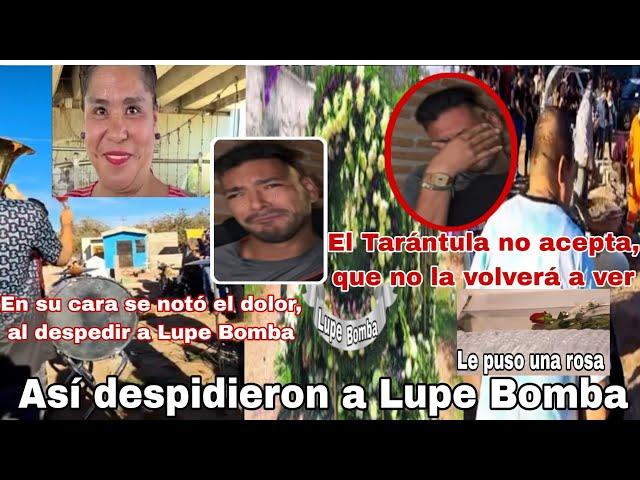 "Lupe Bomba" así la despidieron en su entierro, El Tarántula de la Sierra le pone una rosa roja