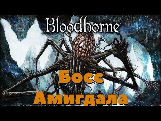 Bloodborne - Босс Амигдала(Amygdala).