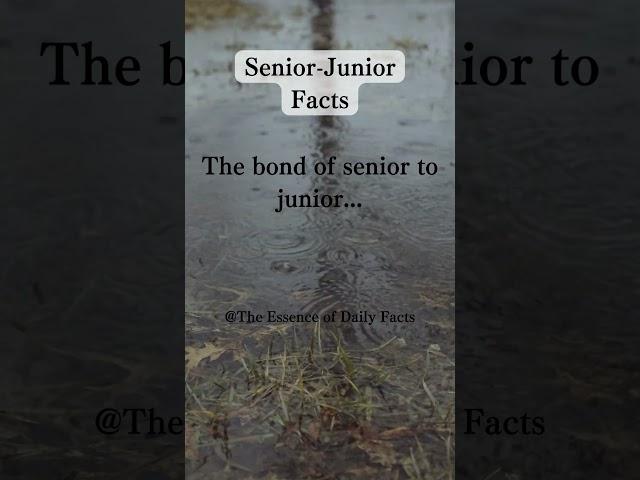 The bond of senior to junior...#youtubeshorts #facts #psychology #motivation #wisdom