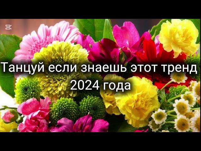 танцуй если знаешь этот тренд 2024 года