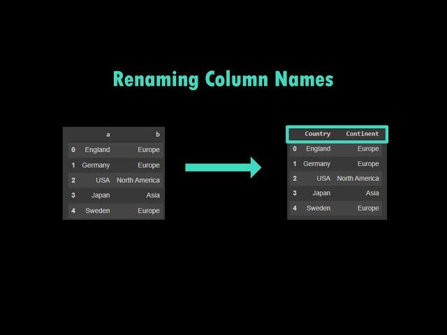 Renaming Column Names | Pandas | DataFrame