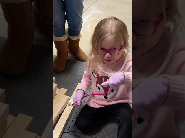 New helper in the shop. The Wood Doctor. #funny #woodworking
