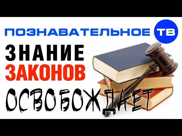 Знание законов ОСВОБОЖДАЕТ от отвественности (Евгений Пупырин)