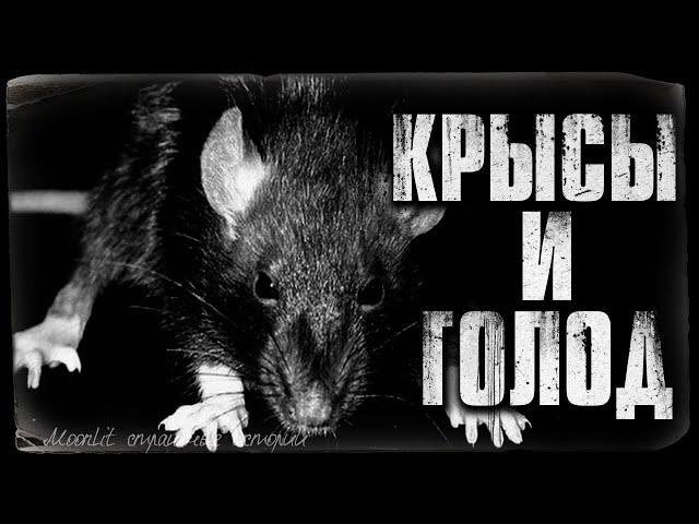 Страшные истории - ГОЛОД И КРЫСЫ. Страшилка на ночь.