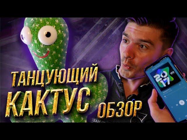 Танцующий кактус обзор. Игрушка повторюшка. Dancing cactus