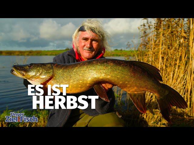 KÖDERFISCHANGELN LÄUFT wie HUPE - JÖRG OVENS wieder am START - Unser Ziel ist Fisch - Angelschule