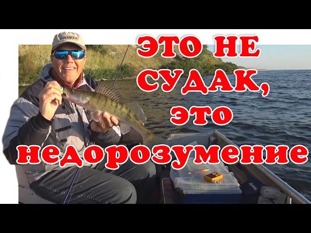 Правильная Приманка - Судак Гарантирован ▶ Fishing 2023 | #Vovabeer