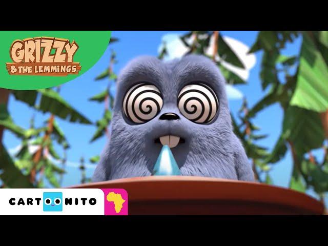 Grizzy and the Lemmings | Superpowers | Cartoonito Africa