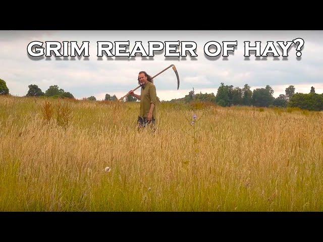 Haymaking: How did Medieval peasants make hay? (I prove I can't use a scythe!)