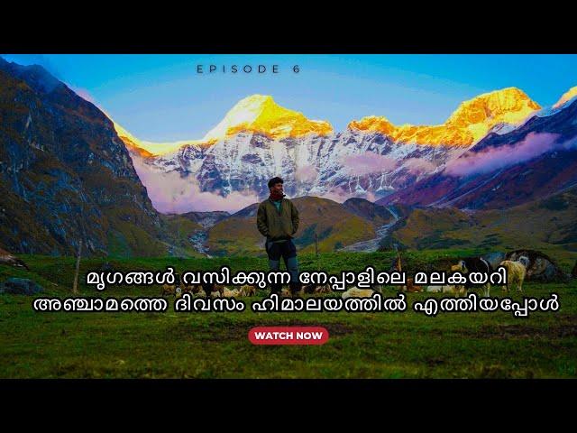 EP6 |മൃഗങ്ങൾ വസിക്കുന്ന നേപ്പാളിലെ മലകയറി അഞ്ചാമത്തെ ദിവസം ഹിമാലയത്തിൽ എത്തിയപ്പോൾ #travel #youtube