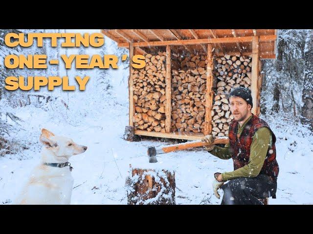 Building A Rustic Woodshed and Cutting A Years Firewood | Alone In Alaska | ASMR