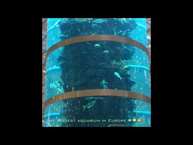  The Biggest Aquarium in Europe | AviaPark Shopping Mall Moscow ️