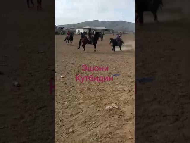 Эшони Кутбидин Асбоб айлансамэ Аспи Эшони Аркомиддин