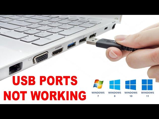 USB Ports not working Windows 11