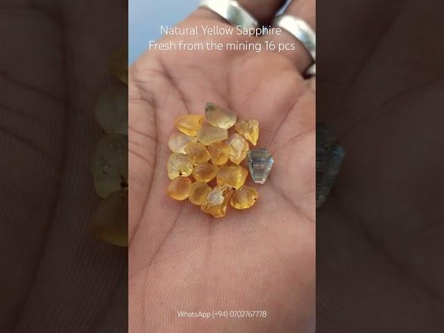 Facet Grade Natural Yellow Sapphire Rough Collection fresh from the mining ️ #gemstone