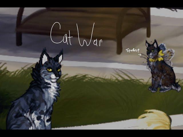 //ЗНАКОМСТО CATWAR\\