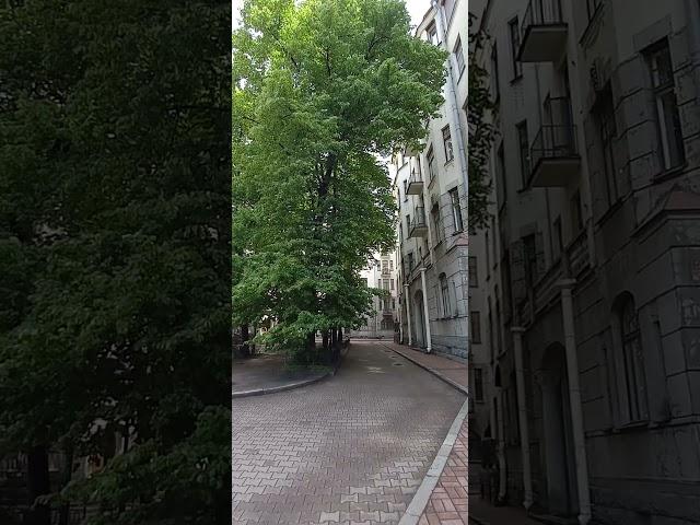 Покажу всё самое интересное тебе о Петербурге! @piter_v_karmane